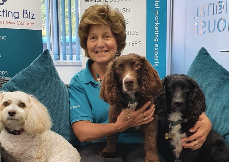 Three dogs enjoying a visit to the Tadley based offices.